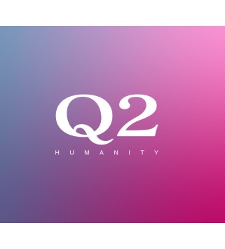 Q2 HUMANITY Steam Key GLOBAL